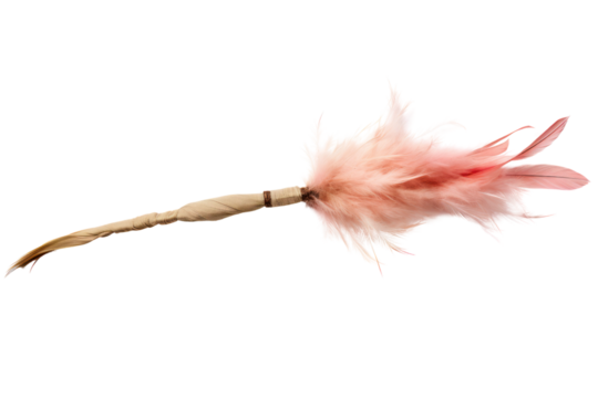 durable cat toy wand with a feathered attachment that mimics bird movement, isolated on white background
