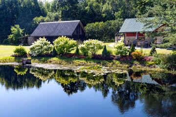 Obraz premium A lake with clear water surrounded by blooming hydrangea bushes that are reflected in the water at the Latvian countryside 