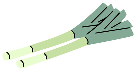 Onion, leek, herb and greengrocery. Vegetables, fruit, market garden, food and meal, illustration