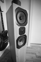 Erle Hifi Lautsprecher Box © bilidi-kunst