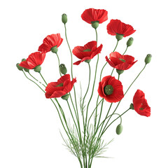 Naklejka premium bouquet of poppy flowers on white background render 