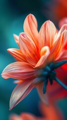 Peach flower petal macro shot. A close-up view of a delicate peach flower petal with soft, elegant lines and a blurred background.