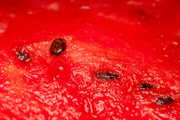 Watermelon pulp. Texture of the pulp of a ripe watermelon with a seed close-up. Selective focus