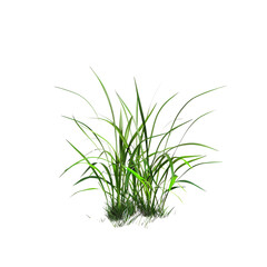 Obraz premium small pink flower on white background render ultra 