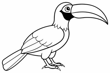 Great Hornbill Vector Illustration - Printable Graphics Design File