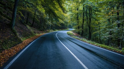 Fototapeta premium Asphalt cuts through the beautiful forest Generative AI