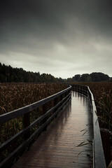 bridge over pond