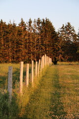 Fence line