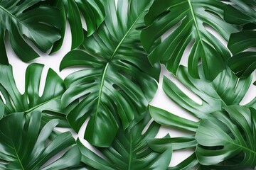 Tropical green palm leaf cut out , ai