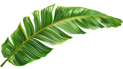 A single green banana leaf, isolated on a black background. The leaf is vibrant and detailed, with intricate veins visible.