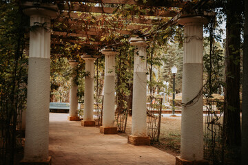 Fototapete bei efototapeten.de bestellen   