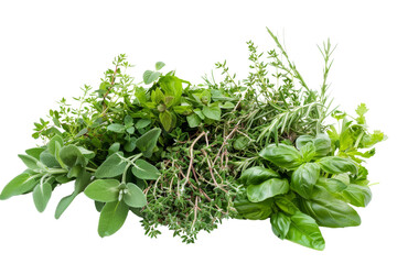 Obraz premium A vibrant mix of fresh herbs, including basil, rosemary, sage, and thyme, perfect for cooking.