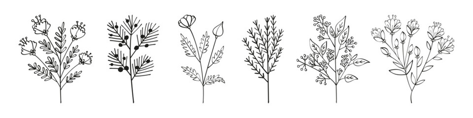 Set of autumn summer twigs of wild plants with leaves flowers and seeds, hand drawn with one line. Flat doodle style. Vector illustration.