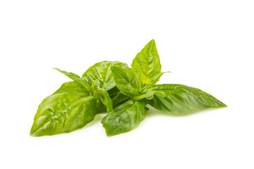 Basil isolated on white background. Fresh organic basil leaves isolated on white background. Spices. Vegan.
