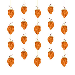 Obraz premium Dried persimmons (hoshigaki, gotgam) isolated in white background.