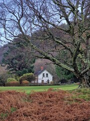 casa en el bosque