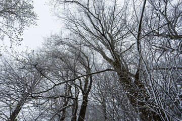 Jolie paysage à Haslital en Suisse sous la neige