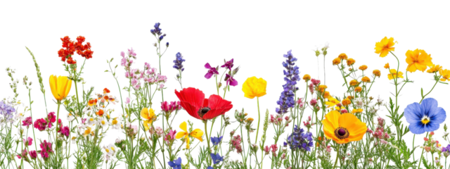 A field of flowers with a variety of colors including yellow, red, and purple. The flowers are scattered throughout the image, creating a vibrant and lively scene
