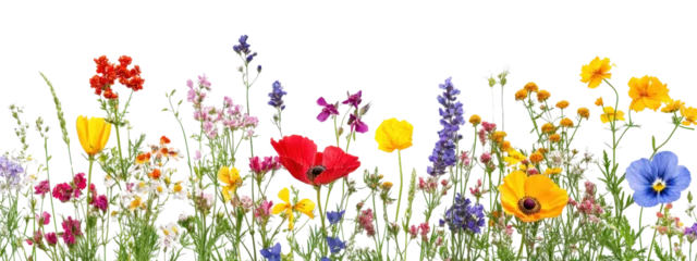 A field of flowers with a variety of colors including yellow, red, and purple. The flowers are scattered throughout the image, creating a vibrant and lively scene