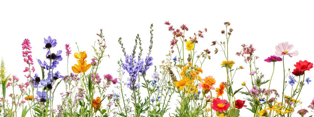 A field of flowers with a variety of colors including yellow, red, and purple. The flowers are scattered throughout the image, creating a vibrant and lively scene