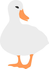 Duck Illustration Vector Graphic