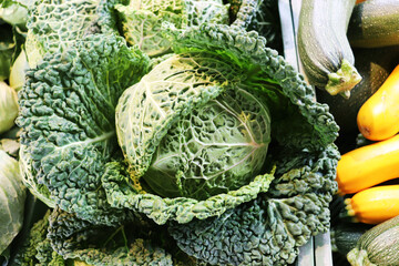 Obraz premium autumn harvest of ripe cabbage with green leaves