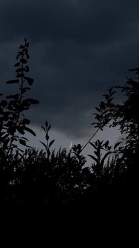 Abendhimmel mit Sichelmond
