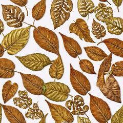 autumn leaf,  nature, tree, fall, isolated, plant, yellow, season,