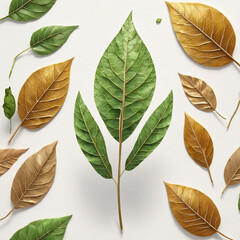 autumn leaf,  nature, tree, fall, isolated, plant, yellow, season,