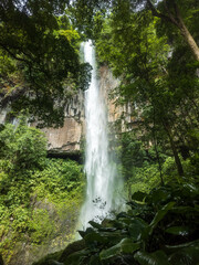 Obraz premium Cascada alta en Panamá 