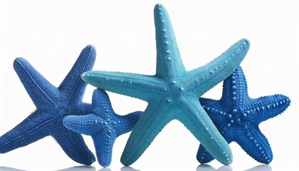 starfish on blue background