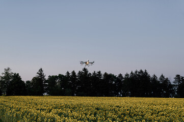 Agrodrone sprayer sprays sunflower fields, precision farming, the latest agriculturethe. New...