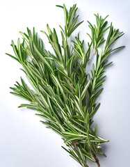 Fototapeta premium rosemary photo from above on isolated background