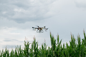 Agrodrone sprayer sprays sunflower fields, precision farming, the latest agriculturethe. Drone -...