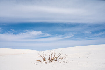 conjunto de paisajes, momentos y lugares