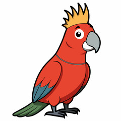 Australian King Parrot  art vector illustration