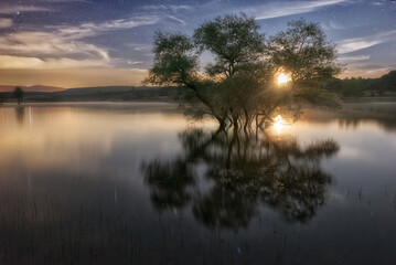 Obraz premium Moonrise between trees in the Aguilar de Campoo reservoir, Palencia