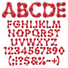 Alphabet, letter, number and sign made of red jelly with slices of juicy watermelon. Isolated vector object on white background.