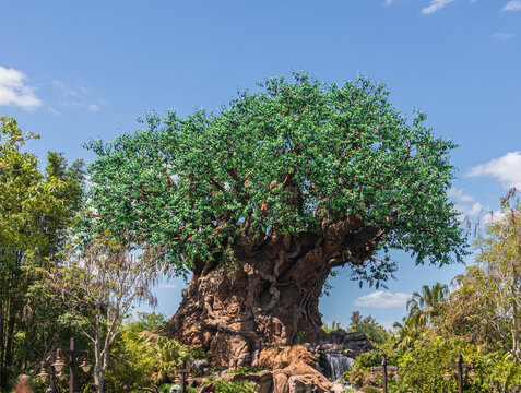 Disney's Animal Kingdom Tree of Life honors animals and has over 300 animals carved into the trunk. Lake Buenavista, Fl, USA, 4-28-24. 
