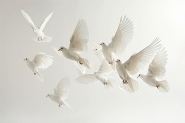 A group of doves flyin