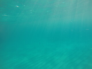 underwater scene with sunlight piercing through the sea surface, illuminating the depths and creating beams of light that dance across the water. The interplay of light and water produces a serene, et