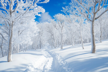 A snowy winter landscape