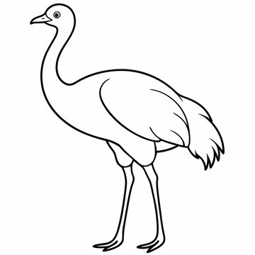 recommend clip art: Ostrich bird line art vector