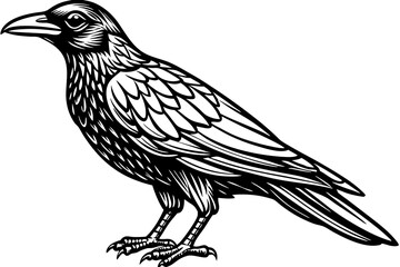 Crow Line Art Vector on White Background - Printable Graphics Design