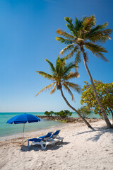 Tropical island beach scene with beach lounge chairs, beach umbrella, palm trees and ocean.