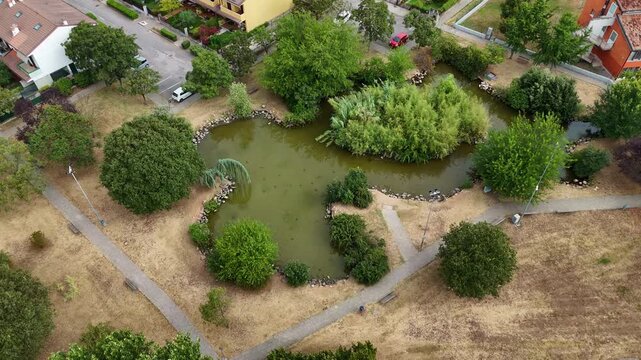 Small pond in a residential neighborhood park. Sunburned grass, pond populated by ducks and turtles. Aerial shot of a city green area. 4k, 50 fps.