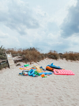 Dead floatables on the beach