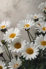 Obraz premium The landscape of white daisy flowers blooms in the field, crowded flowers next to each other 