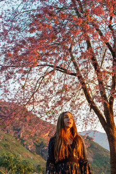 Crian&ccedil;a adolescente feliz balan&ccedil;ando debaixo da arvore no por do sol