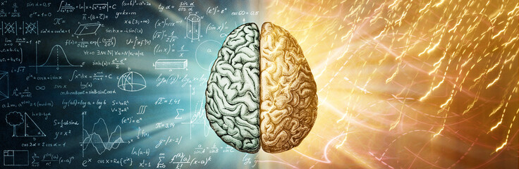 The human brain is a creative background. The right creative hemisphere compared to the left logical hemisphere. A concept on the topic of education, science and medicine.